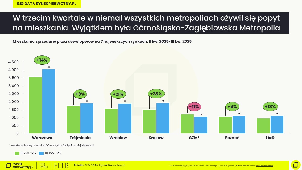 (1) Raport BIG DATA-III kw. 2025-sprzedaż