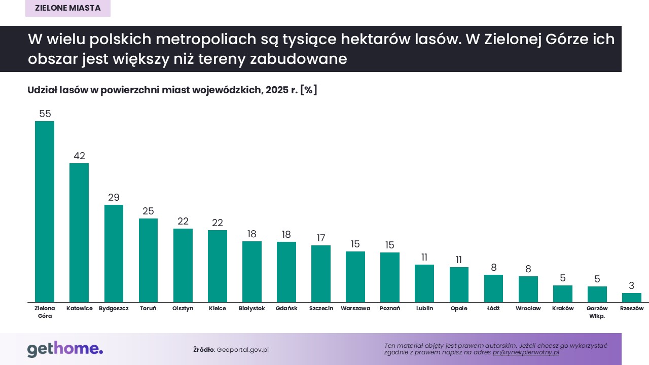 Udział lasów w powierzchni miast wojewódzkich -2025